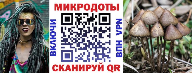 дарнет шоп  Гусиноозёрск  ссылка на мегу рабочий сайт  Псилоцибиновые грибы MAGIC MUSHROOMS 